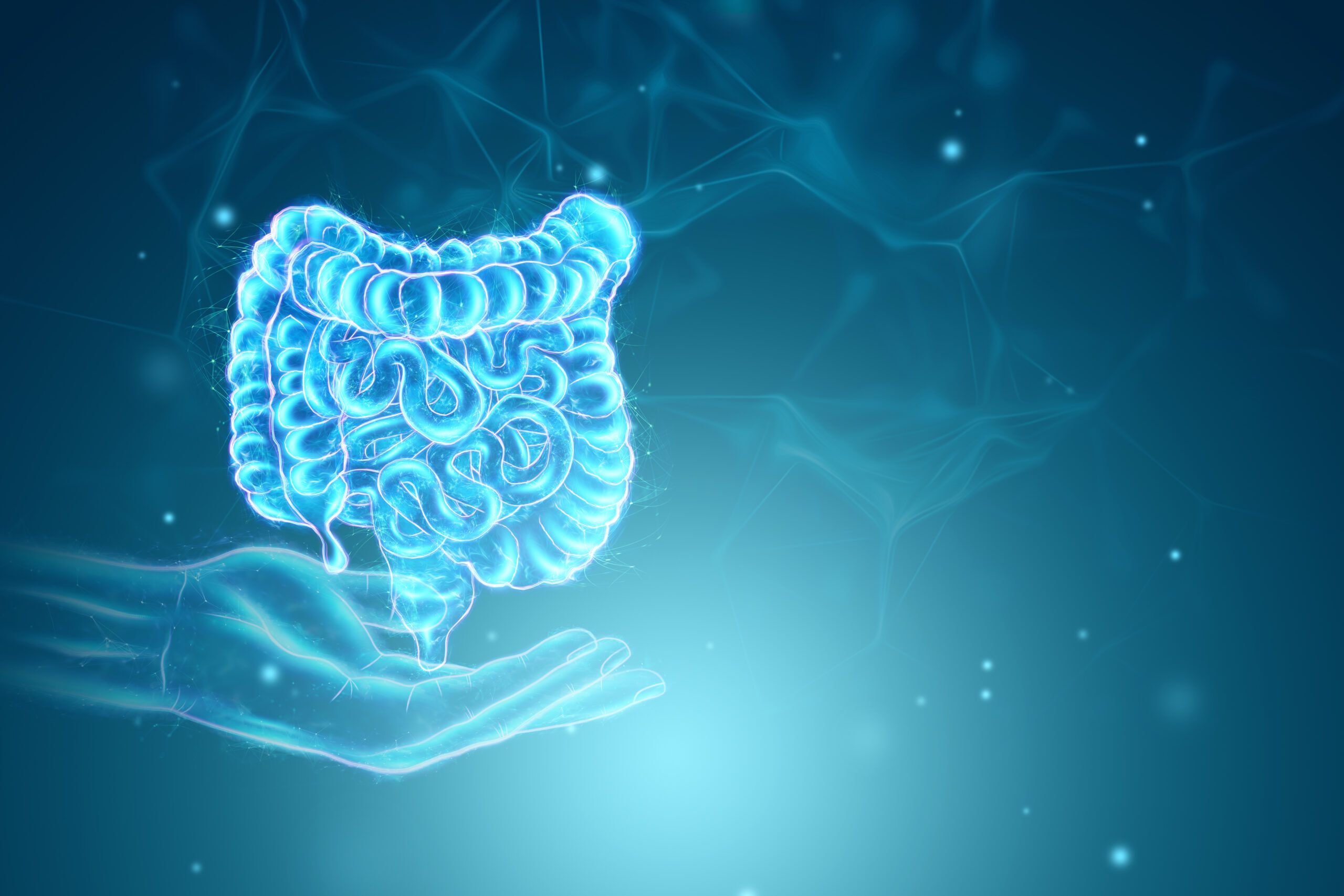 A,Holographic,Projection,Of,A,Scan,Of,The,Intestine,On